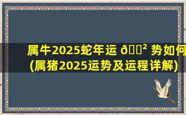 属牛2025蛇年运 🌲 势如何(属猪2025运势及运程详解)